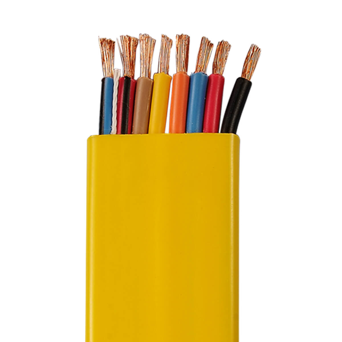 8-Wire Festoon Cable